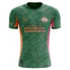 PSV Eindhoven Doelman Shirt Groene 2025-26